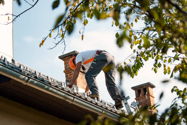 Best Roof Repair Services  in Exandria, AL