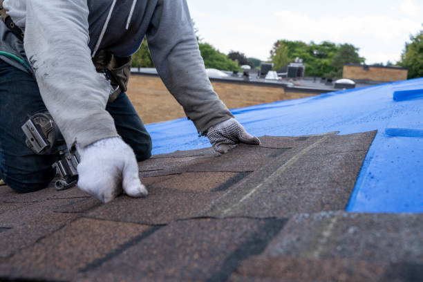 Quick and Trustworthy Emergency Roof Repair Services in Alexandria, AL